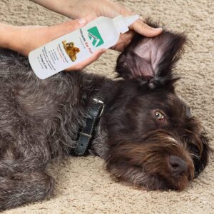 Forticept Dog Ear Infection Treatment, Dog Ear Cleaner, Itch Relief Cat and Dog Ear Wash Flush 8 oz