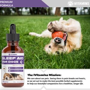 Dog Sleep Aid | Sleep Aid for Dogs | Promotes Healthy, Restful Sleep in Dogs | Melatonin for Dogs | | Dog Calming | Calming for Dogs | Dog Melatonin | Dog Anxiety Relief | 1 fl oz: Bacon Flavor