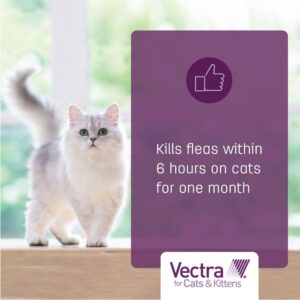 Vectra Tan for Cats and Kittens 2-9 Pounds 6 Doses