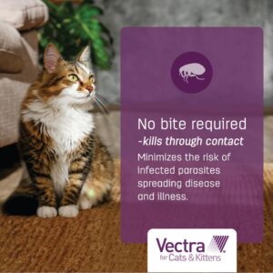 Vectra Tan for Cats and Kittens 2-9 Pounds 6 Doses