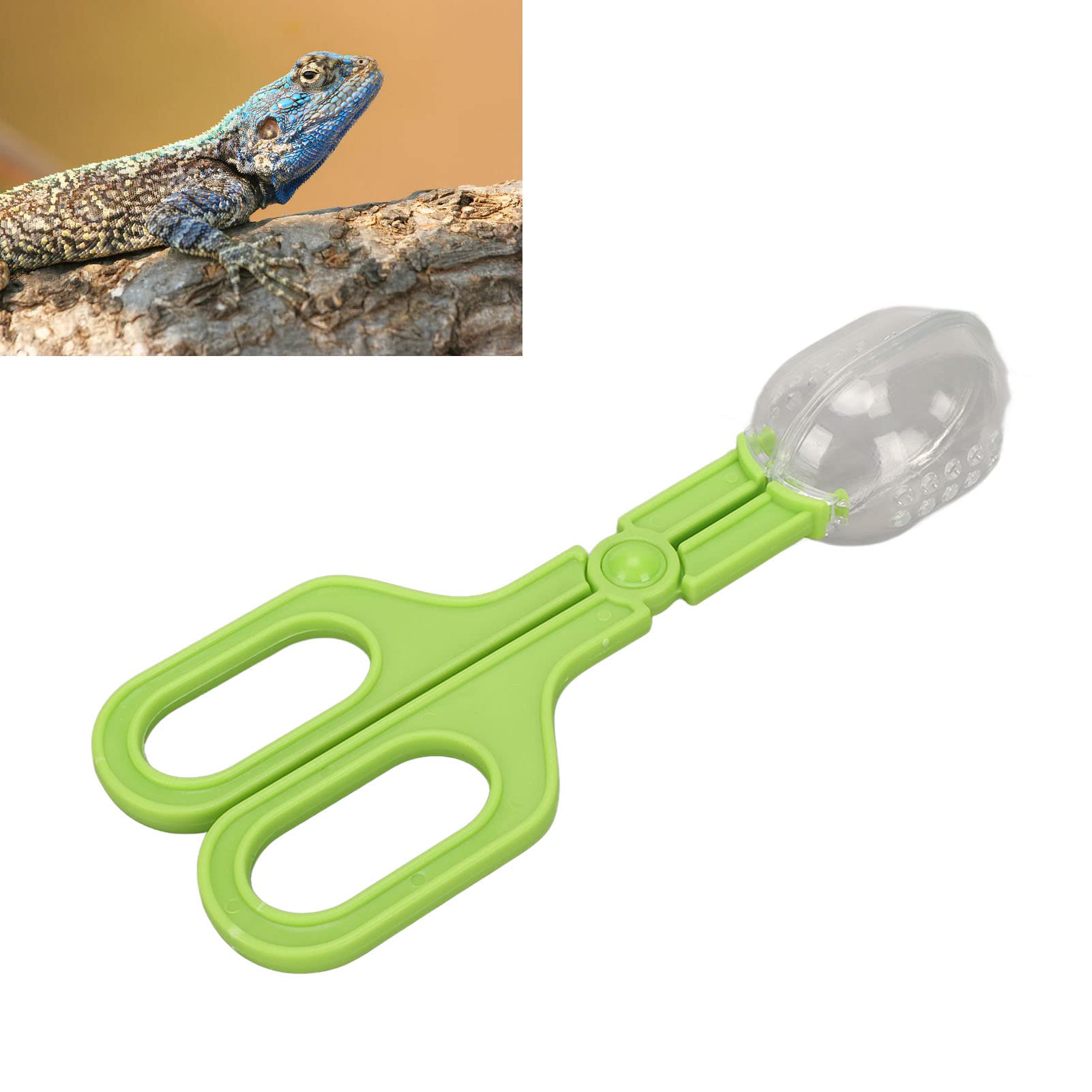 Reptile Feeding Clamp, Amphibian Terrarium Feeding and Cleaning Tool Reptile Poop Scoop, Multipurpose Reptile Feeding Claw Collector Reptile Feeding Clip with Vents for Tortoise Lizard Spider(Green)