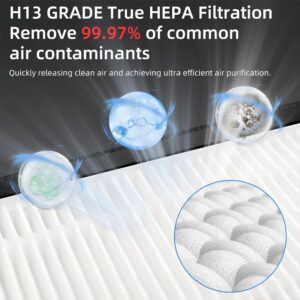 2 Pack Vital 200S HEPA Replacement Filter Compatible with LEVOIT Vital 200S Air Pur-ifier H13 Grade True HEPA, High-Efficiency Activated Carbon Filter Replace Part # Vital 200S-RF