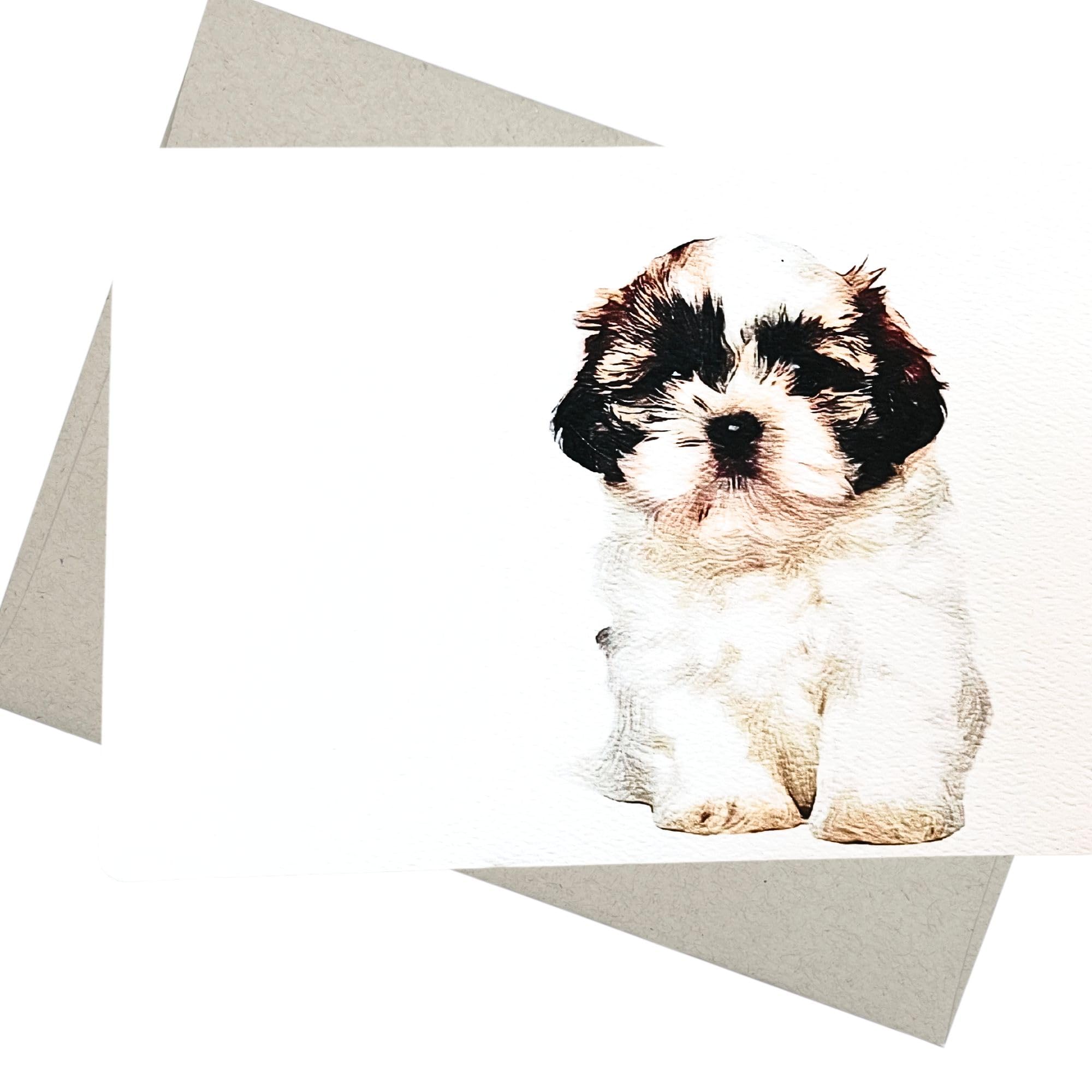 Groomers Margins Shih Tzu Birthday Card (5X7 Inch, Blank Inside) also Shih Tzu Thank You and Shih Tzu Happy Birthday for Women - 239