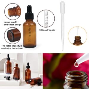 Z-synka 10 Pack 2 Oz Amber Glass Bottles with Dropper, UV Protection, for Essential Oils, Serum, Liquids