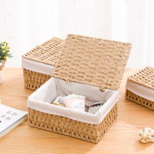 Rattanzenith Small Wicker Basket with Lid Paper Rope Storage Baskets for Shelves Set of 3 Tampon Holder with Lid and Removable Liner for Bathroom Makeup Closet Drawer Desk Organizer (Khaki)