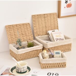 Rattanzenith Small Wicker Basket with Lid Paper Rope Storage Baskets for Shelves Set of 3 Tampon Holder with Lid and Removable Liner for Bathroom Makeup Closet Drawer Desk Organizer (Khaki)