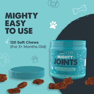 Mighty Paw Waggables Joint Support Supplement for Dogs (Made in USA) | Glucosamine for Dogs Hip and Joint Supplement. Vet Formulated Pet Mobility, Chondriotin & MSM Dog Joint Supplement Chews (120 Ct)