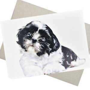 groomers margins shih tzu birthday card (5x7 inches, blank inside for all occasions) also for miss you, farewell messages, get well, pet sympathy - 240