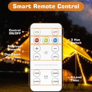 BoRccdit Battery Operated Light Bulb with Remote Control 1800K