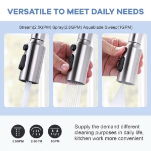 iVIGA Pull Down Faucet Sprayer Head Replacement, Brushed Nickel 3 Function Pull Out Spray Nozzle with 9 Adapters for Kitchen Sink Faucet, American Standard for Moen Kohler Delta G1/2 Male Connector