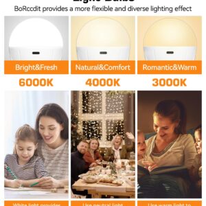 BoRccdit Battery Operated Light Bulb with Remote Control 1800K