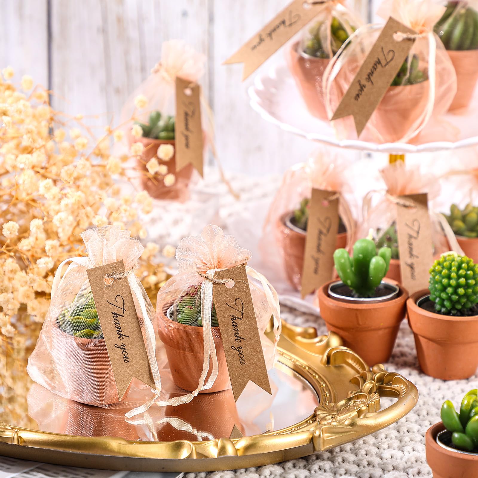 MTLEE 36 Pcs Succulent Candles Decorative Cactus Tealight Candle Tea Lights Handmade Baby Shower Candle Decorations Plant Candle with Mini Terracotta Clay Candle Holders for Wedding Home Party Decor