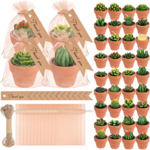 mtlee 36 pcs succulent candles decorative cactus tealight candle tea lights handmade baby shower candle decorations plant candle with mini terracotta clay candle holders for wedding home party decor