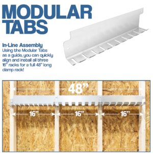 Fulton Woodworking Tools Modular Clamp Rack Assortment with 1 Each F-Clamp Rack •1 Each Bar/Parallel Clamp Rack and 1 Each Pipe Clamp Rack Included, Quick to Align •Pre-Drilled 16 inch on Center