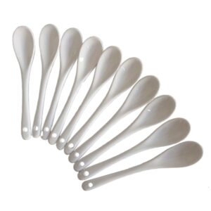 white ceramic coffee spoon, 5 inch small tea spoons for ice-cream teaspoon appetizers desserts, dinner soup spoons kitchen (10 pack)