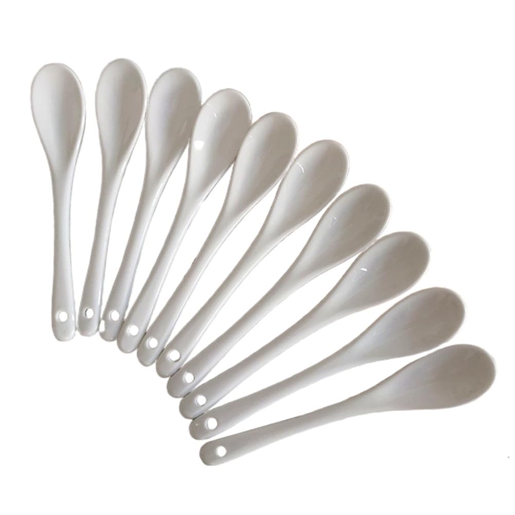 White Ceramic Coffee Spoon, 5 Inch Small Tea Spoons for Ice-cream Teaspoon Appetizers Desserts, Dinner Soup Spoons Kitchen (10 Pack)