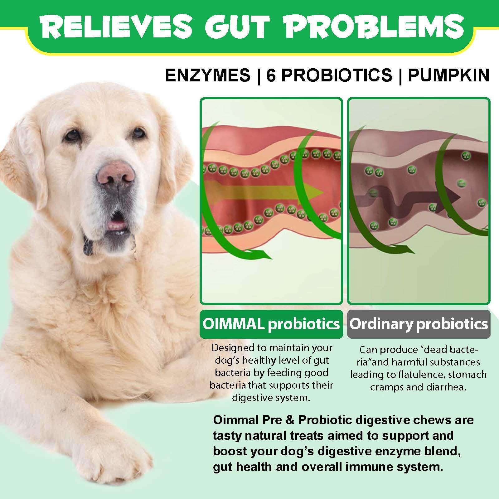 Probiotics for Dogs, 120 Chews Dog Probiotics Treats, Digestive Treats Dogs Probiotics and Digestive Enzymes, Dog Digestive Health Gut, Immune Bowel Support, Reduce Diarrhea, Gas, Itchy Relief