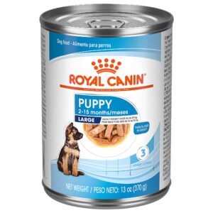 royal canin size health nutrition large thin slices in gravy wet puppy food, 13 oz., case of 12