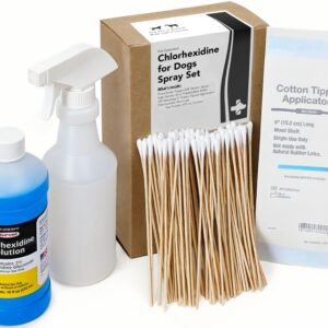 Chlorhexidine for Dogs 2% Solution Spray Set - Pint (473 mL) with Bottle (16 oz) + Trigger Sprayer & 100 (6") Cotton Applicator Tips - Helps Itching, Hot Spots, Irritation, Allergies & Sensitive Skin