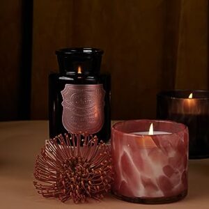 Paddywax Scented Candles Apothecary Noir Glass Jar Luxury Artisan Candle, 8-Ounce, Saffron Rose