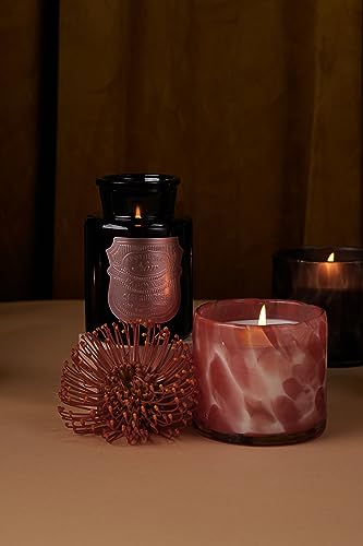 Paddywax Scented Candles Apothecary Noir Glass Jar Luxury Artisan Candle, 8-Ounce, Saffron Rose