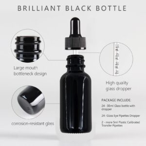 KURTOTEP 1oz Black Dropper Bottle 24 Pack - with 2 Plastic Pipettes, Leak-proof, for Essential Oils, Perfumes, travel size bottle for liquids