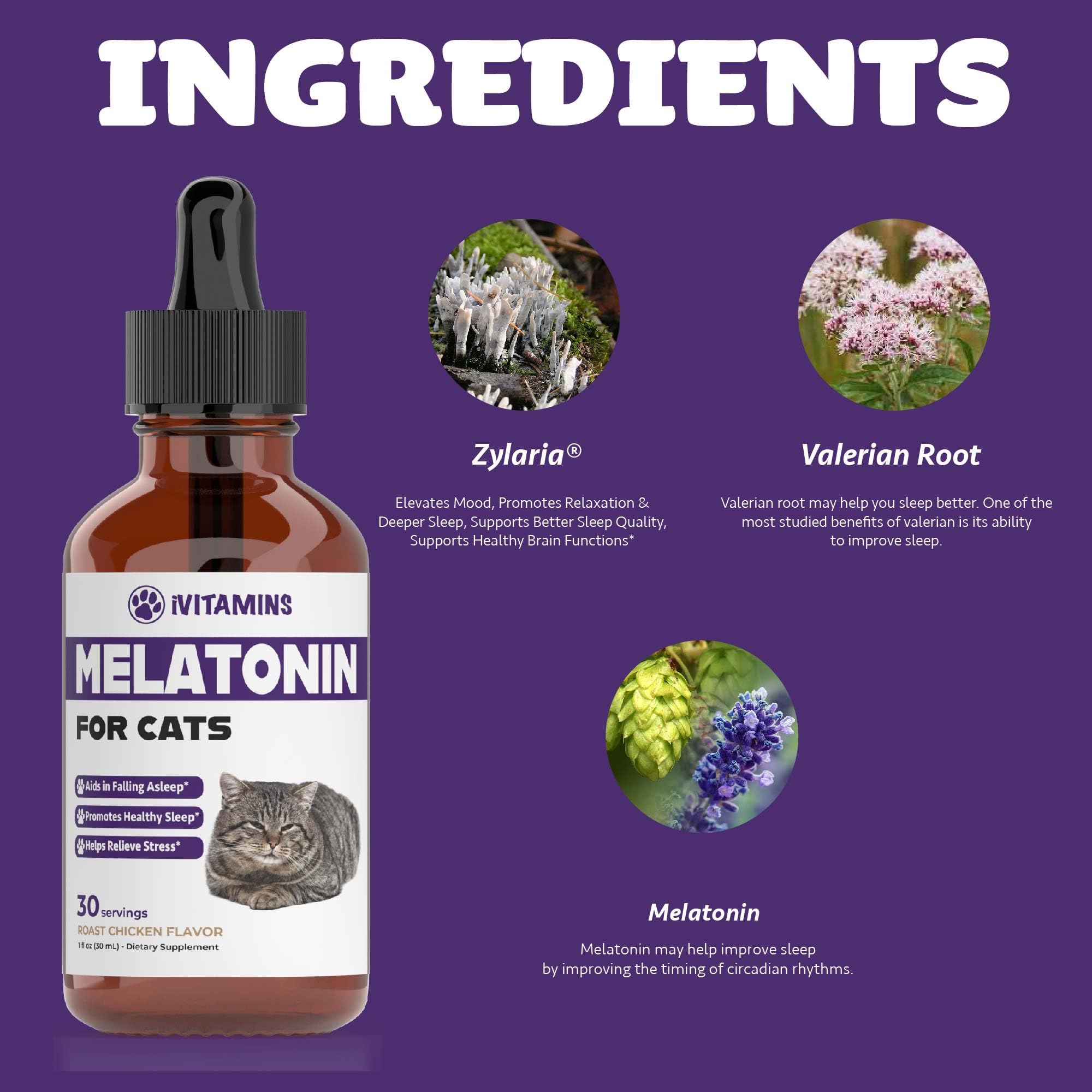 Melatonin for Cats | Supports Healthy, Restful Sleep for Your Cat | Cat Stress Relief | Cat Calming | Cat Anxiety Relief | Cat Melatonin | Anxiety Relief for Cats | Cat Sleep Aid | 1 fl oz