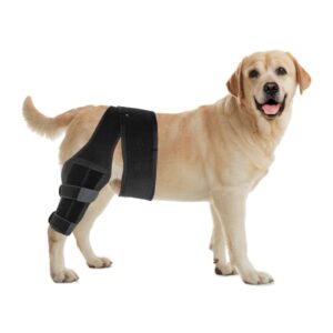 xylitic dog knee brace, acl knee brace for dogs hind leg with cruciate ligament injury,joint pain and muscle sore,adjustable dog rear leg brace support for patella dislocation,pet knee brace (medium)