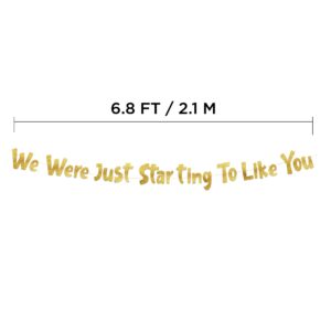 We Were Just Starting To Like You Gold Glitter Banner - Going Away Party - Moving Party - New Job - Will Miss You - Funny Retirement Party Supplies, Gifts and Decorations