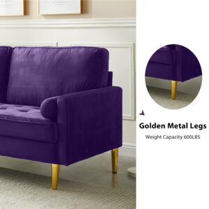 Hdxdkog Velvet Loveseat Sofa, 66.9'' Mid Century Modern Small Love Seats with 2 Pillows & Golden Legs Comfy Couch for Living Room, Upholstered 2 Seater Sofa for Small Apartment (Purple)