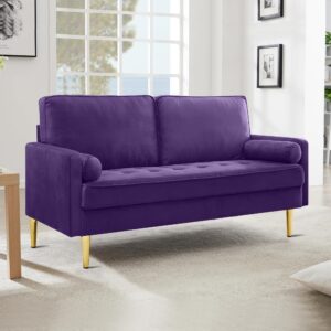 Hdxdkog Velvet Loveseat Sofa, 66.9'' Mid Century Modern Small Love Seats with 2 Pillows & Golden Legs Comfy Couch for Living Room, Upholstered 2 Seater Sofa for Small Apartment (Purple)