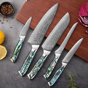 SENKEN 11-Piece Damascus Knife Block Set with Abalone Shell Handle - "Umi" Collection Japanese Chef Knife Set - 67-Layer Japanese VG10 Steel, Chef Knife, Paring Knife, 4 Matching Steak Knives & More