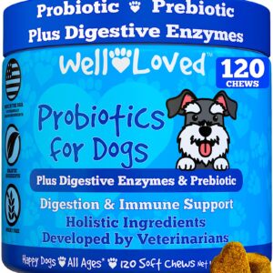 Well Loved Pumpkin & Probiotics Plus Probiotic Chews Bundle, Dog Probiotics and Digestive Enzymes, Dog Digstive Support