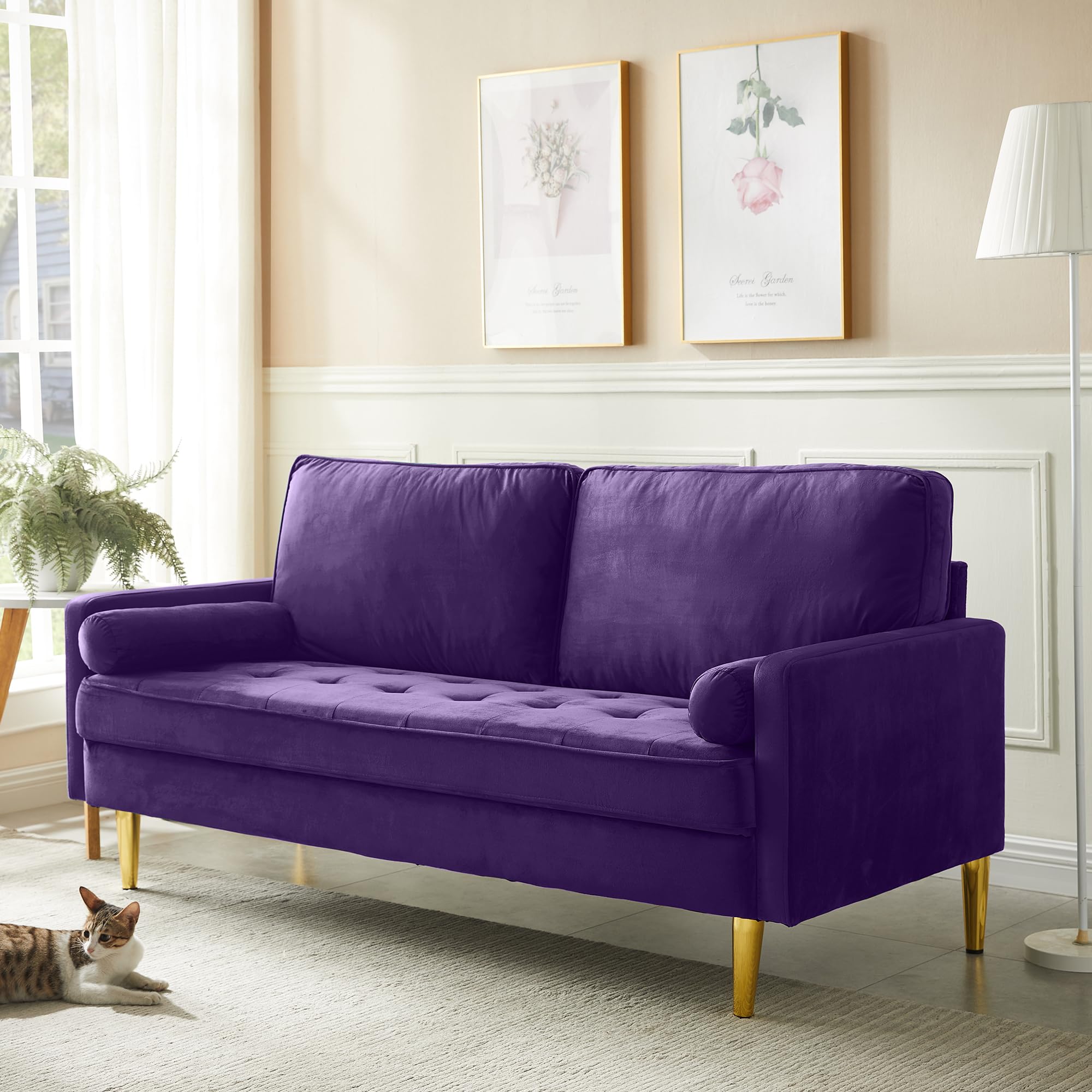 Hdxdkog Velvet Loveseat Sofa, 66.9'' Mid Century Modern Small Love Seats with 2 Pillows & Golden Legs Comfy Couch for Living Room, Upholstered 2 Seater Sofa for Small Apartment (Purple)