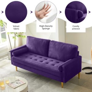 RXRRXY 67" Modern Velvet Loveseat Sofa Couch, Mid-Century Tufted Upholstered Small Love Seat Couch with 2 Pillows & 4 Golden Legs, 2-Seats Couches for Compact Space, Living Room, Apartment (Purple)