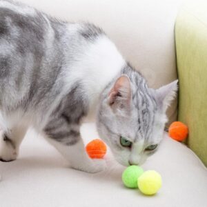 Shizhoo 31 Pcs Cat Toy Ball Launcher Gun,Cat Fetch Toy Gun Shooter, Plush Ball Shooting Gun with 30Pcs Pom Pom Balls, Funny & Fuzzy Toys Interactive for Indoor Cats (3.0 CM with Ball Gun)