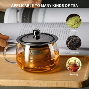 PARACITY Tea Cup with Infuser and lid, Glass Tea Cup of Heat Resistant Glass, 13oz Tea Mug, Clear Teacup for Loose Tea, Blooming Tea, Tea Bag, Tea Cup with Strainer for Family Daily