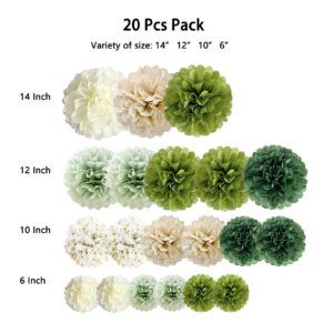 ANSOMO Sage Green Tissue Paper Pom Poms 20 Pcs Wedding Party Decorations Ivory Tan Boho Flowers Birthday Baby Shower Wild Safari Jungle Botanical Greenery 14 12 10 6 Inch Wall Hanging Décor Supplies