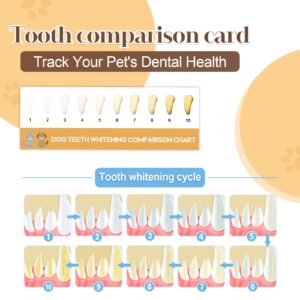 VVHOMIFE Premium Pet Toothbrush Set for Cats and Dogs - Complete Oral Care with Soft Bristles - Ideal for Teeth Cleaning, Dental Hygiene, Plaque Removal - Veterinarian Recommended-White