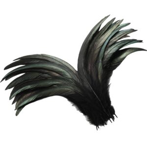 holmgren black rooster tail feathers - 60pcs 12-14inch natural long rooster tail feathers bulk for diy crafts costume and halloween party performances decoration (black)