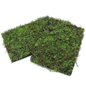 aqua kt terrarium moss background backdrop wall artificial reptile amphibian cage decoration for lizard bearded dragon snake frog chameleon climbing, pack of 2