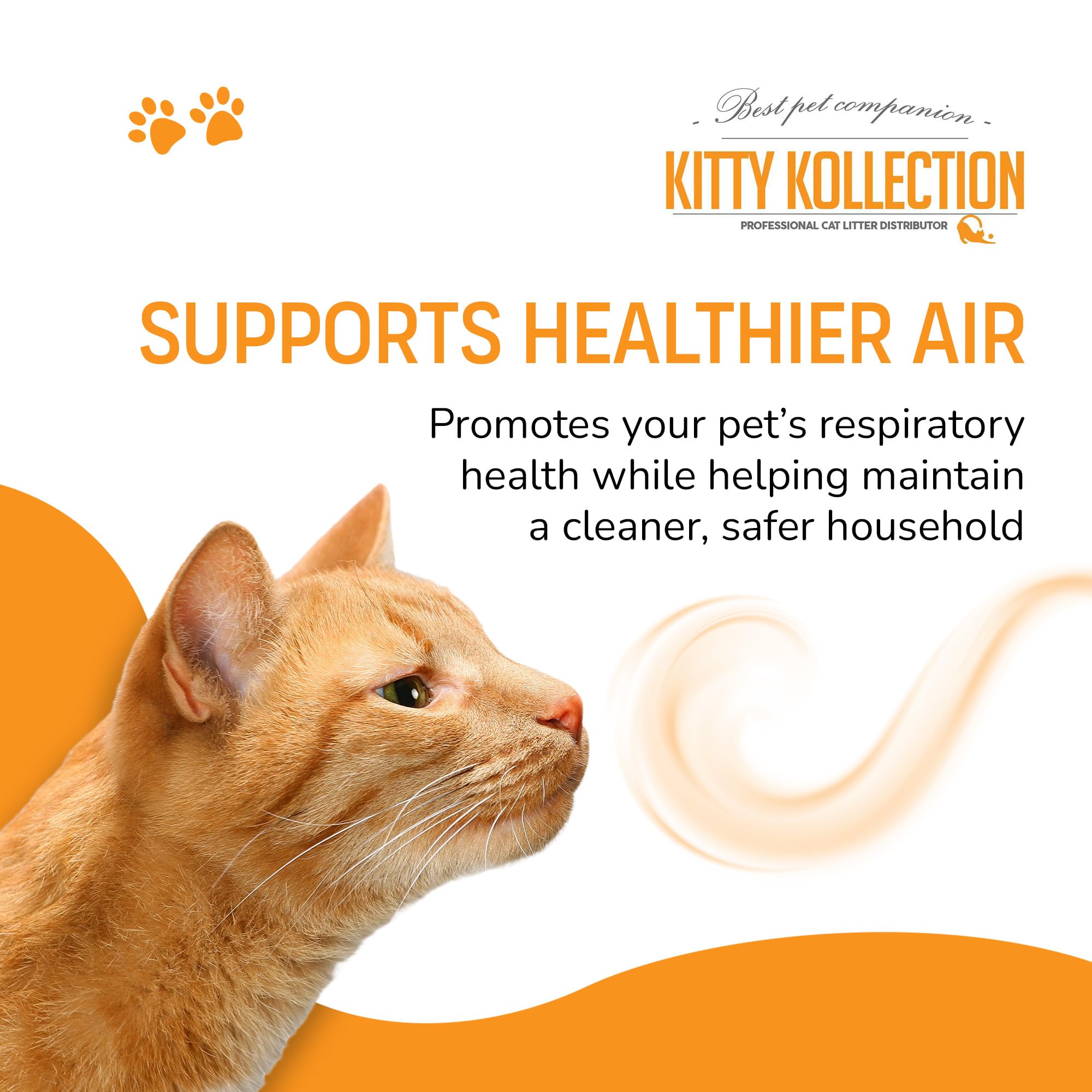 Kitty Kollection - Premium Bentonite Cat Litter, Easy-to-Clump Super Absorbent Kitty Litter with Excellent Odor Control, Toxin-&-Dust-Free Unscented Cat Litter, 5L