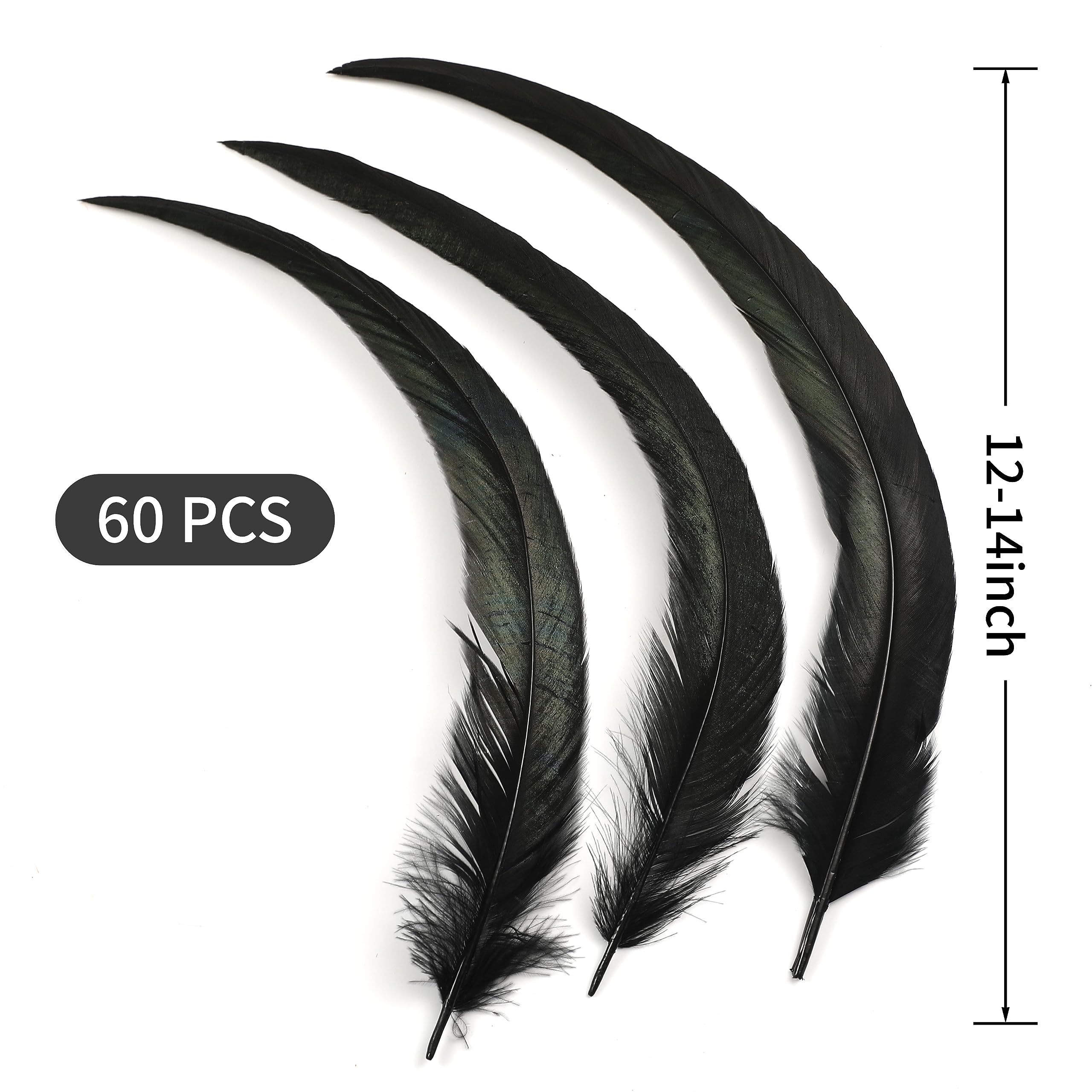 Holmgren Black Rooster Tail Feathers - 60pcs 12-14inch Natural Long Rooster Tail Feathers Bulk for DIY Crafts Costume and Halloween Party Performances Decoration (Black)