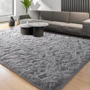 Quenlife Fluffy Rug for Living Room, Plush Shaggy 6x9 Rug for Bedroom, Soft Area Rugs Fuzzy Carpet with Anti-Slip Bottom for Kids Grils Room Nursery Home Decor, Grey