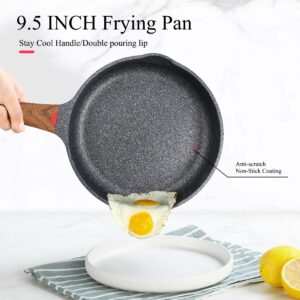 Vinchef Nonstick Frying Pan Anti Scratch,9.5 Inch Skillet Cast Aluminum Cookware, Induction Compatible