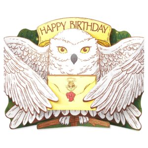 american greetings pop up harry potter birthday card (filled with magic!)