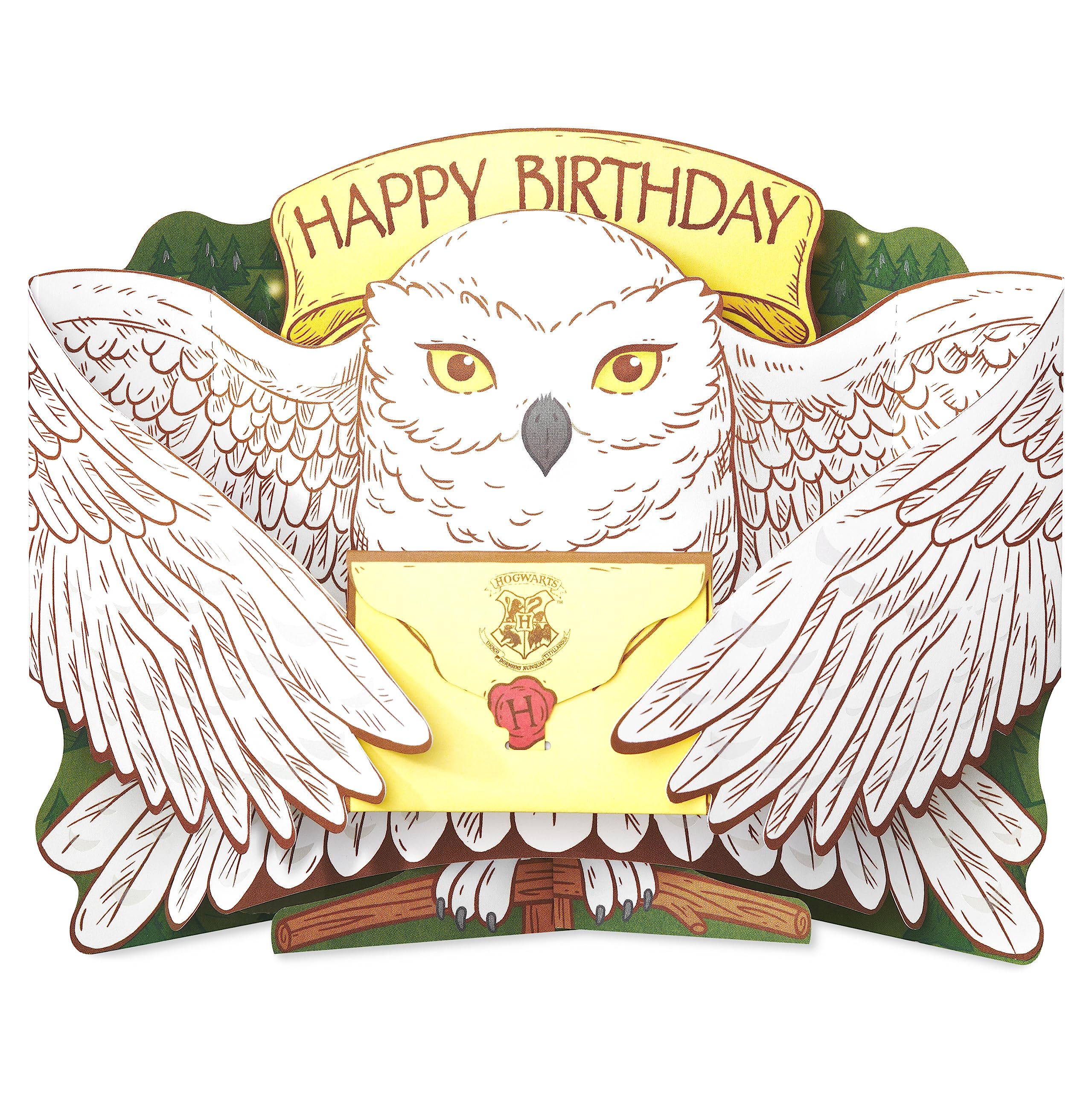 American Greetings Pop Up Harry Potter Birthday Card (Filled with Magic!)