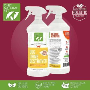 Only Natural Pet Enzyme Powered Stain & Odor Eliminator - Professional Pet Urine Pee Cleaner Deodorizer for Dogs - Hardwood Floors Carpets Upholstery - Eucalyptus & Rosemary Scent - 32Floz - 2 Pack