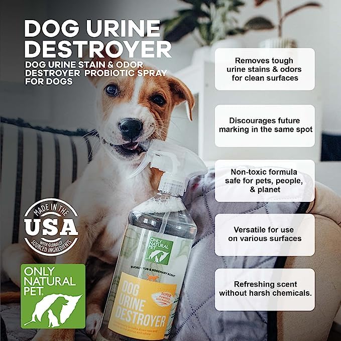 Only Natural Pet Enzyme Powered Stain & Odor Eliminator - Professional Pet Urine Pee Cleaner Deodorizer for Dogs - Hardwood Floors Carpets Upholstery - Eucalyptus & Rosemary Scent - 32Floz - 2 Pack