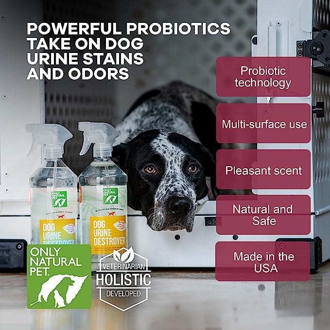 Only Natural Pet Enzyme Powered Stain & Odor Eliminator - Professional Pet Urine Pee Cleaner Deodorizer for Dogs - Hardwood Floors Carpets Upholstery - Eucalyptus & Rosemary Scent - 32Floz - 2 Pack